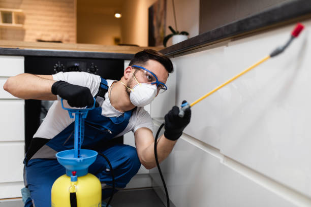 Trusted El Lago, TX Pest Control Experts